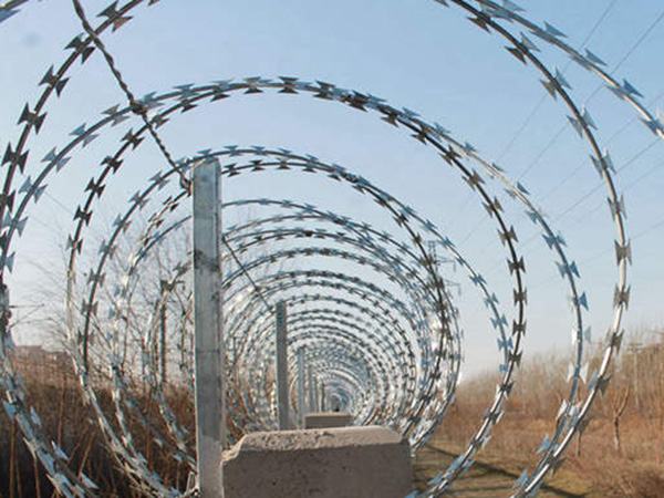 廣西高鐵刺絲滾籠圖片5