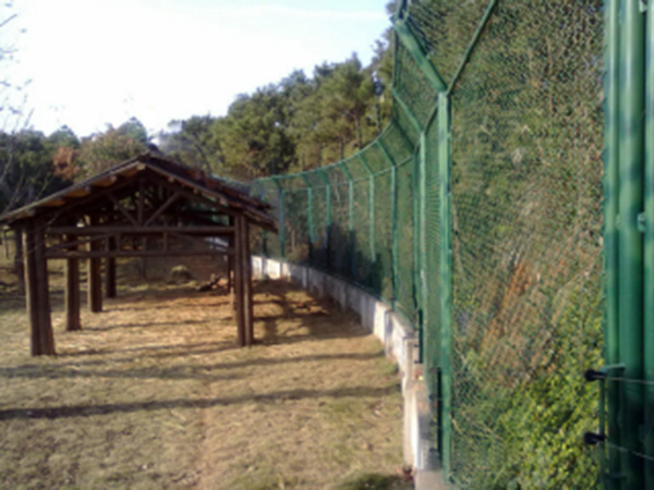 廣西動物園防護柵欄圖片2