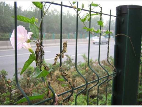廣西隔離帶護(hù)欄網(wǎng)