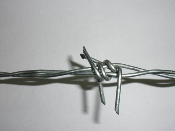 無錫鐵蒺藜圖片4 無錫鐵蒺藜圖片4