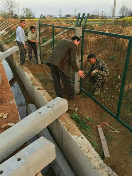 海南滬昆鐵路貴州段防護柵欄護欄網項目圖片2 海南滬昆鐵路貴州段防護柵欄護欄網項目圖片2