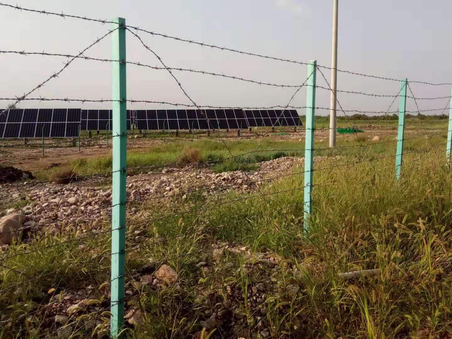 廣西刺繩護(hù)欄網(wǎng)圖片4 廣西刺繩護(hù)欄網(wǎng)圖片4