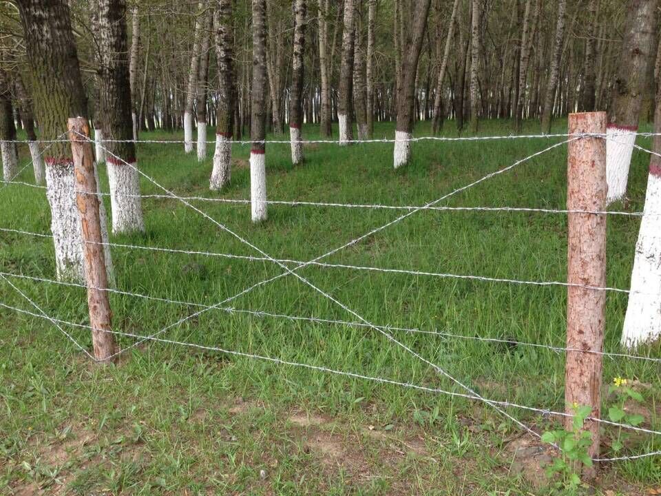 廣西刺繩護(hù)欄網(wǎng)圖片5 廣西刺繩護(hù)欄網(wǎng)圖片5