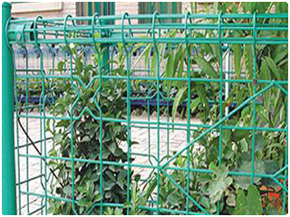 雙圈護欄網 雙圈護欄網