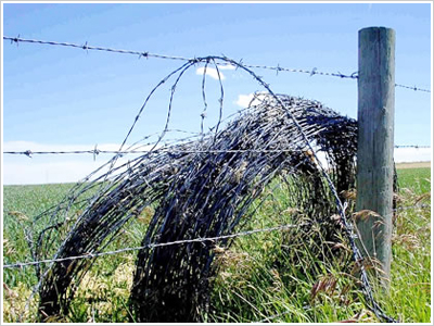 刀片/刺繩護(hù)欄網(wǎng)