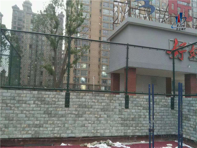 湖州安徽皖西當代運動場圍網(wǎng)工程圖片5