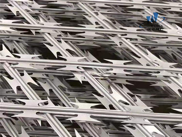 廣西刀片刺網護欄圖片2